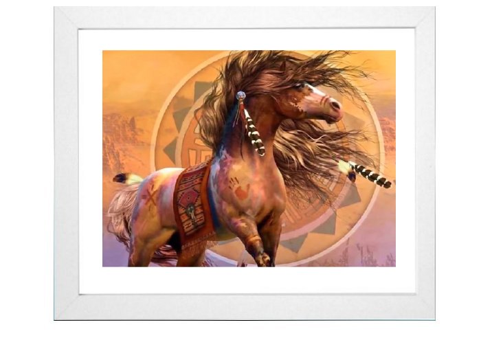 North American IndianFramed Print
